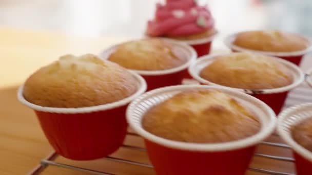 Kvinna Blandar Grön Glasyr För Att Dekorera Muffins Upplyst Solljus — Stockvideo