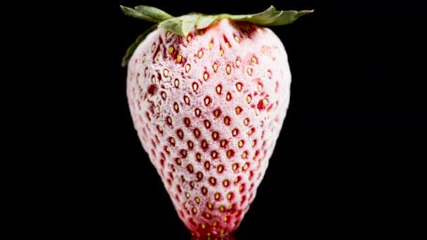 서리와 얼음으로 Thawing 딸기의 매크로 배경에 — 비디오