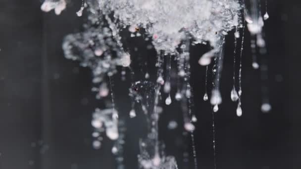 粉末或药物微粒进入水 运动补充剂 溶于水的过程 慢动作 — 图库视频影像