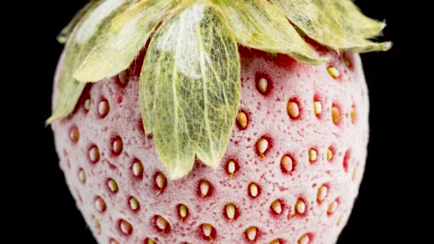 Macro Textuur Van Aardbeien Bedekt Met Witte Vorst Door Bevriezing — Stockvideo