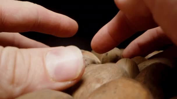 男人的手在贝壳中分类山核桃 宏观多利在黑色背景下 — 图库视频影像
