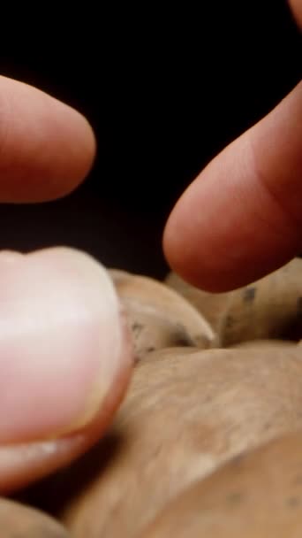 垂直录像 男人的手在贝壳中分类山核桃 宏观多利在黑色背景下 — 图库视频影像