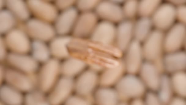 Fokus Långsamt Skiftar Till Knäckt Pecan Nut Roterar Mot Bakgrund — Stockvideo