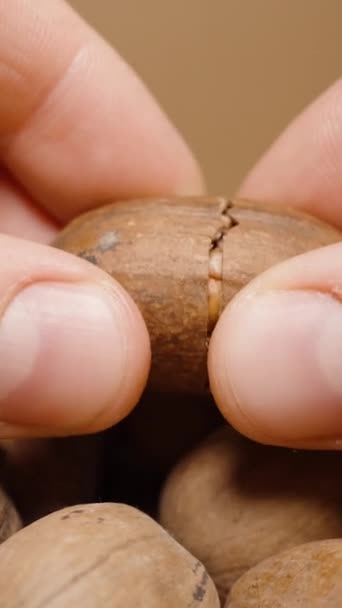 垂直录像 男人的手把山核桃壳劈成两半 检查里面的坚果 带螺母的盘子 — 图库视频影像