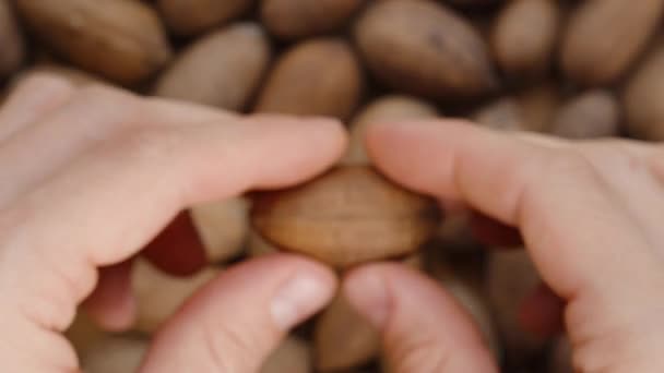 Backdrop Nuts Men Hands Crack Open Pecan Close Examine Nut — Stock Video