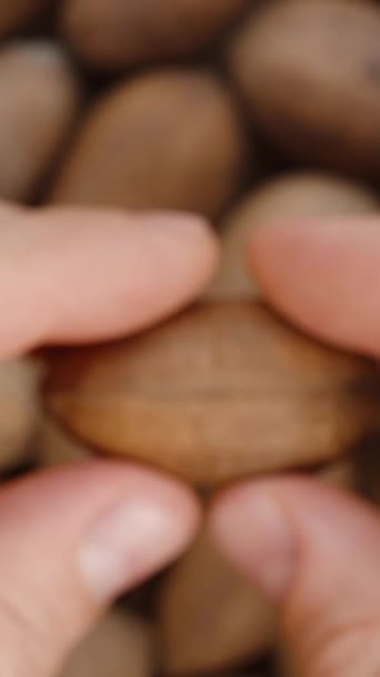 バーティカルビデオ ナッツを背景に 男性の手のひらはクローズアップでペニスを開き 内部のナッツを調べる — ストック動画