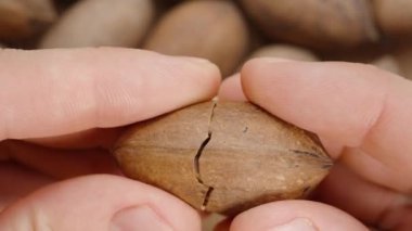 Ceviz cevizlerinin üst görüntüsü, erkeklerin elleri bir tanesini alır ve ikiye ayırır, içindeki cevizi ortaya çıkarır. Yakın plan..