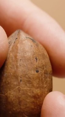 Dikey video. Açık kahverengi arka planda fındık kabuğu yakın plan soyuluyor..