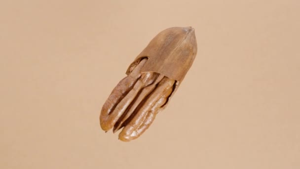 薄い茶色の背景で回転する半分割れた貝のナット 隔離されるループ — ストック動画