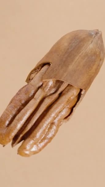 バーティカルビデオ 薄い茶色の背景で回転する半分割れた貝のナット 隔離されるループ — ストック動画