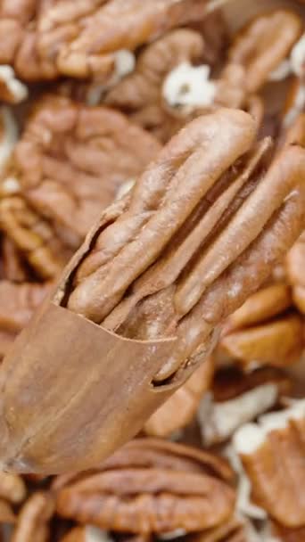 バーティカルビデオ ひび割れた貝のナットは上から見た他のナッツの背景の上に循環的に回ります — ストック動画