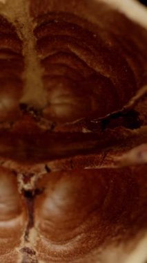 Dikey video. Ceviz kabuğunun içindeki dokuya makro yakınlaştırma, fındıklar siyah masaya saçılmış. Dolly kaydırıcı, kapat..