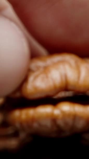 Vertical Video Man Hand Showcasing Peeled Pecan Nut Macro Texture — Stock Video