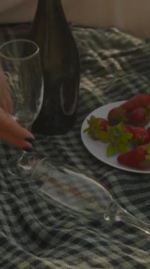 Dikey video. Battaniyenin üzerinde bir şişe şampanya ve çileklerin yanında iki bardak var. Kadın bir tanesini alır ve inceler..
