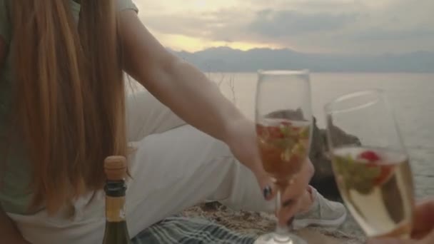 Ich Perspektive Champagnergläser Klirren Mit Frau Auf Einer Decke Meer — Stockvideo
