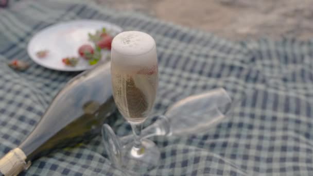 Bouteille Champagne Vide Repose Sur Une Couverture Avec Des Restes — Video