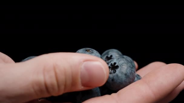 Куча Черники Руке Мужчины Осматривающего Черном Фоне — стоковое видео