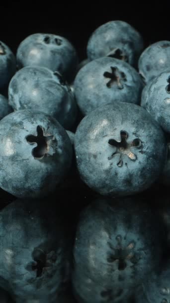 Video Vertikal Beberapa Blueberry Atas Meja Hitam Muncul Dalam Terang — Stok Video