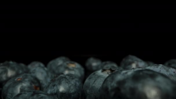 相机通过手工采摘的蓝莓向后移动 在黑色背景上 — 图库视频影像