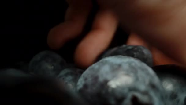 Een Mannelijke Hand Verzamelt Verspreidt Bosbessen Voorgrond Dolly Schuifregelaar — Stockvideo