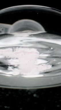 Ölçülü bir kaşık beyaz tozun dökülüp durulduğu bir bardakta suyun yüzeyine yakın çekim yapın. Tıbbi hazırlık kavramı.