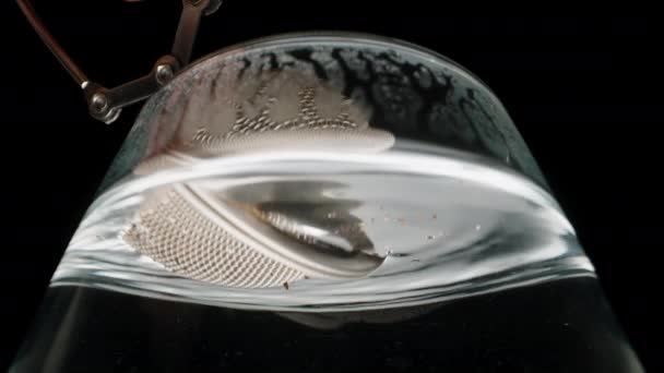 Uma Malha Metal Com Folhas Chá Interior Forma Esfera Submersa — Vídeo de Stock