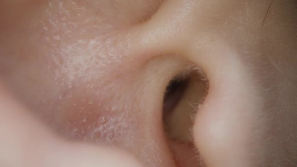 イヤーキャナル 女性の耳のマクロ インサイドヘアス — ストック動画