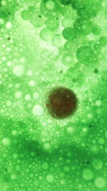 Вертикальное Видео Концепция Клеточного Отдела Красные Клетки Размножаются Зеленой Среде — стоковое видео