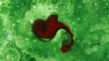 Kırmızı Damlacıklar Yeşil Sıvıya Dağıldı. Organizma Hücreleri Kavramı, Makro Soyutlama.