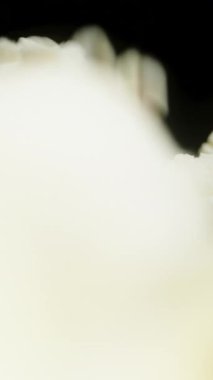 Dikey video. Kamera masadaki düşen patlamış mısırdan uzaklaşır, ama onu tamamen kapsar. Makro yavaş çekim.