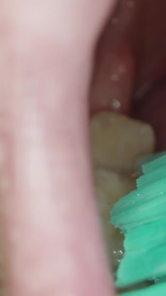 垂直录像 一个人如何刷牙 如何用下颌骨的视角在嘴里拍摄的清晰的例子 — 图库视频影像