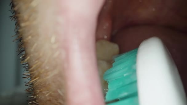 男がどのように彼の歯をブラシをかけ 下のジョーの眺めで口の中を撮影したかの明確な例 — ストック動画