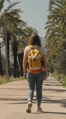 Dikey video. Sırt çantalı genç bir gezgin palmiye ağaçları arasında yol boyunca yürüyor, uzaktaki karlı dağlara odaklanan bir kamera. Güneşli.