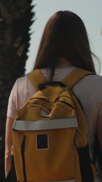 Vidéo Verticale Une Touriste Féminine Avec Sac Dos Promenant Dans — Video