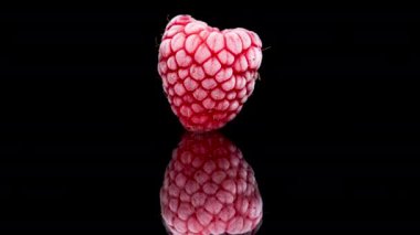 Buzla kaplı donmuş ahududu, siyah aynalı arka planda hızla erir. Makro yakınlaştırma.