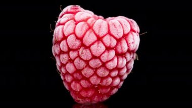 Donmuş ahududu dondurulmuş, buzla kaplı, erime süreci, hızlandırılmış....