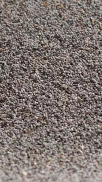 Vertical Video Dry Poppy Seeds Fall Downward Background Scattered Seeds — Stock Video