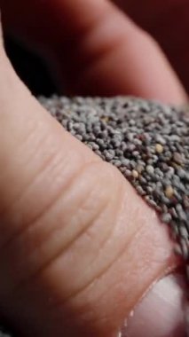 Dikey video. Bir erkek eli yakın planda bir avuç haşhaş tohumu yakalar. Tohumları eline sürer ve masaya döker..