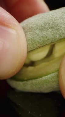 Dikey video. Yeşil bir bademin içinde yumuşak beyaz bir fındık. Bir elin yakın çekimi onu parçalara ayırıyor. Yavaş çekim.