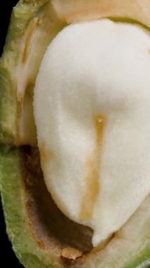 Dikey video. Yeşil bir bademin iç kısmı ve içindeki beyaz posa. Siyah arka planda bir kaypak. Makro.