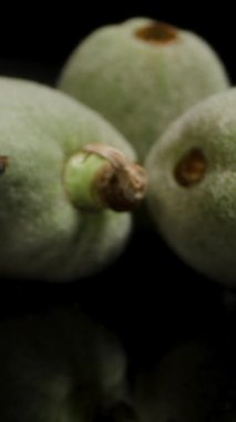 Dikey video. Siyah bir masaya saçılmış yeşil bademler arasından geri geri gitmek. Dolly kaydırıcı, yakın plan..