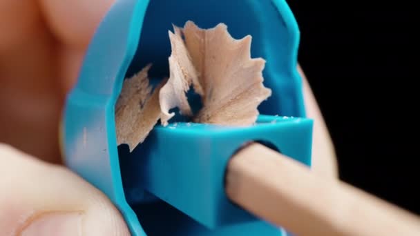 Lápis Madeira Afiado Apontador Plástico Azul Close — Vídeo de Stock