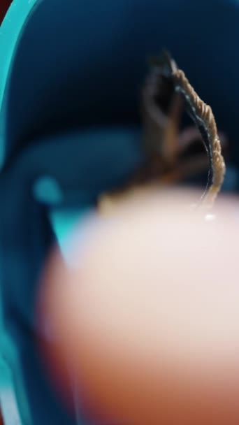 Вертикальне Відео Гоління Від Загострення Олівця Точці Макрос Повільний Рух — стокове відео