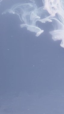 Dikey video. Mavi suda yayılan beyaz sıvı desenleri ilginç tasarımlar yaratıyor. Ağır çekim makro. Yaratıcılık ve sanat kavramı.