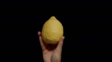 İki Limon, Kara Arkaplanda Kadın Ellerinde Çerçevede Başarılı Bir şekilde Ortaya Çıktı.