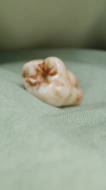 Dikey video. Kamera, Yastığın Altına Yakın Çekim Çekiyor ve Yüz Dolar Yerleştirildi. Dolly Macro.