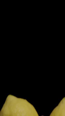 Dikey video. İki Büyük Limon Kara Arkaplanda Alttan Kadın Ellerinde Görünüyor.