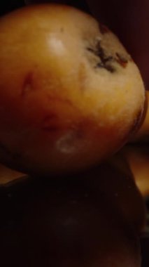 Dikey video. Erkek El, Kara Masa 'da Loquats' ı seçerken kamera ileri kayıyor. Siyah Arkaplanda Macro Dolly.