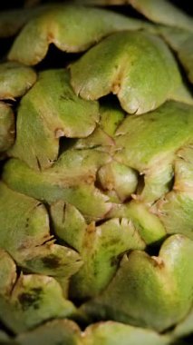 Dikey video. Enginar Santralinin Kapanışı, Yukarıdan Aşağı Görünüm Döndürme.