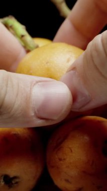 Dikey video. Erkek Eller Kaseden Bir Lokuat Al ve İkiye Yırt, Meyve Suyu Fışkırtır ve Tohumlar Düşer, Yavaş Hareket.